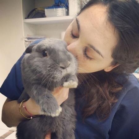 embrasser lapin bisou calin herpesvirus bouton fievre risque zoonose zoonotique veterinaire nac paris