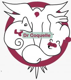 Logo dr coquelle fond gris