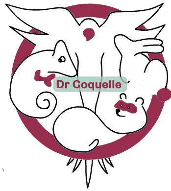 Logo dr coquelle